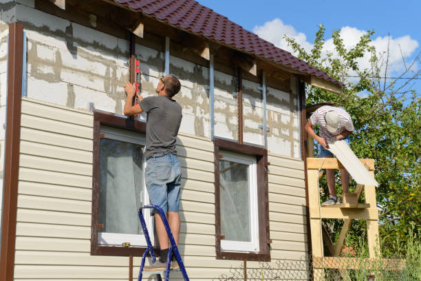 Best Vinyl Siding Installation  in Farmerville, LA